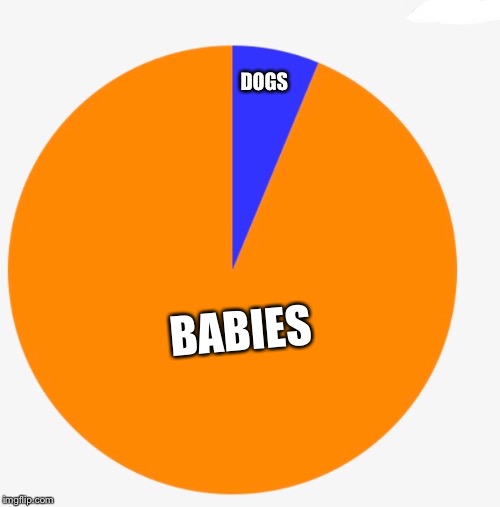 Boss Baby in a Nutshell | BABIES; DOGS | image tagged in boss baby | made w/ Imgflip meme maker