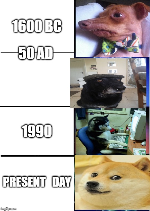 history of dogs | 1600 BC; 50 AD; 1990; PRESENT   DAY | image tagged in memes,expanding brain | made w/ Imgflip meme maker