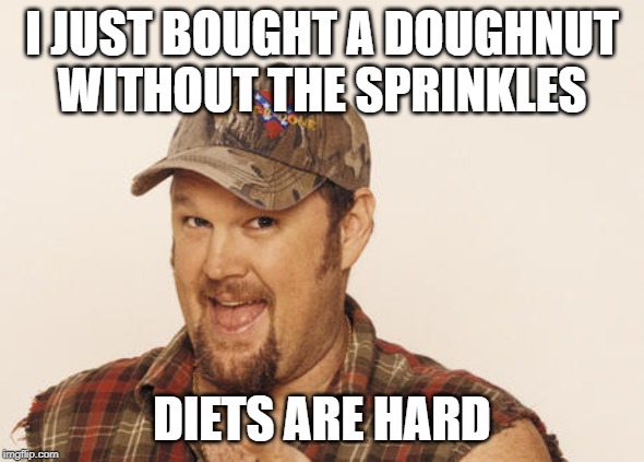 diet doughnuts | I JUST BOUGHT A DOUGHNUT WITHOUT THE SPRINKLES; DIETS ARE HARD | image tagged in now that's funny right there,diet doughnuts,diets are hard | made w/ Imgflip meme maker