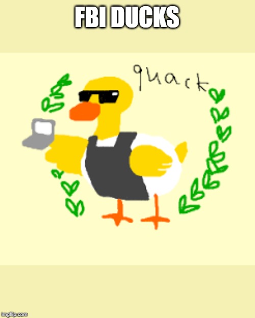 FBI DUCKS | image tagged in fbi open up,fbi,ducks,quack | made w/ Imgflip meme maker