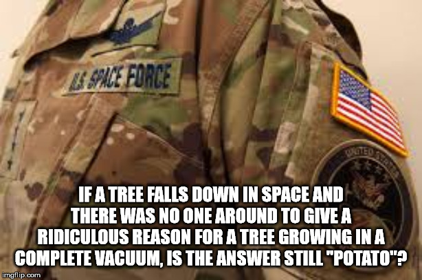 A Uniform For Schmucks | IF A TREE FALLS DOWN IN SPACE AND THERE WAS NO ONE AROUND TO GIVE A RIDICULOUS REASON FOR A TREE GROWING IN A COMPLETE VACUUM, IS THE ANSWER STILL "POTATO"? | image tagged in a uniform for schmucks | made w/ Imgflip meme maker
