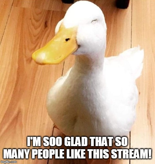 SMILE DUCK | I'M SOO GLAD THAT SO MANY PEOPLE LIKE THIS STREAM! | image tagged in smile duck | made w/ Imgflip meme maker