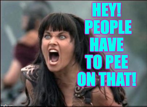 Angry Xena | HEY!  PEOPLE HAVE TO PEE ON THAT! | image tagged in angry xena | made w/ Imgflip meme maker
