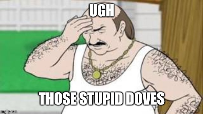 Carl ATHF | UGH THOSE STUPID DOVES | image tagged in carl athf | made w/ Imgflip meme maker