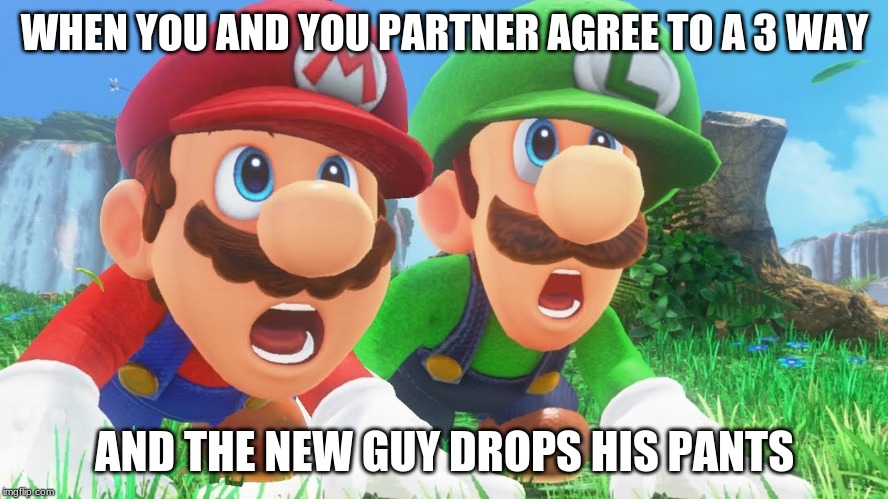 Mario Luigi mouth gape | WHEN YOU AND YOU PARTNER AGREE TO A 3 WAY; AND THE NEW GUY DROPS HIS PANTS | image tagged in mario luigi mouth gape | made w/ Imgflip meme maker