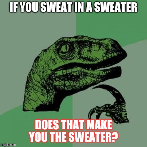 Hmmm... | IF YOU SWEAT IN A SWEATER; DOES THAT MAKE YOU THE SWEATER? | image tagged in memes,philosoraptor,sweater,confusion | made w/ Imgflip meme maker