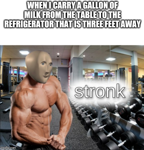 stronks | WHEN I CARRY A GALLON OF MILK FROM THE TABLE TO THE REFRIGERATOR THAT IS THREE FEET AWAY | image tagged in stronks,milk,weak,milk carton,got milk | made w/ Imgflip meme maker