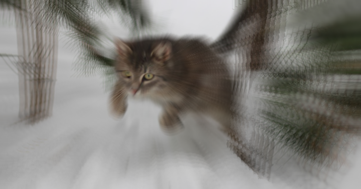 Speedy cat Blank Meme Template