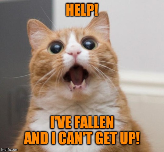 scared cat | HELP! I'VE FALLEN AND I CAN'T GET UP! | image tagged in scared cat | made w/ Imgflip meme maker