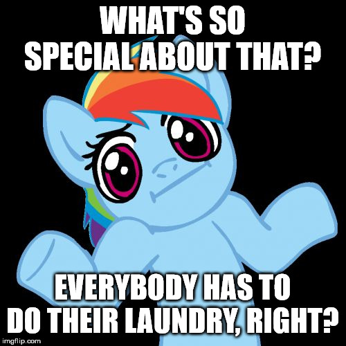 Pony Shrugs Meme | WHAT'S SO SPECIAL ABOUT THAT? EVERYBODY HAS TO DO THEIR LAUNDRY, RIGHT? | image tagged in memes,pony shrugs | made w/ Imgflip meme maker