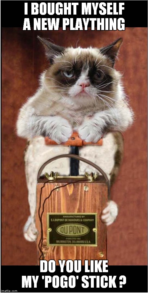 Grumpys New Toy | I BOUGHT MYSELF A NEW PLAYTHING; DO YOU LIKE MY 'POGO' STICK ? | image tagged in fun,grumpy cat,toys | made w/ Imgflip meme maker