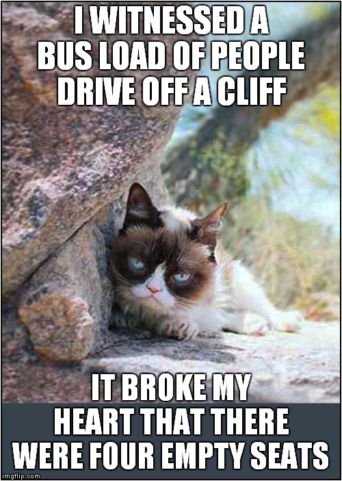 Grumpy Witness Statment | I WITNESSED A BUS LOAD OF PEOPLE DRIVE OFF A CLIFF; IT BROKE MY HEART THAT THERE WERE FOUR EMPTY SEATS | image tagged in fun,grumpy cat,bus,crash | made w/ Imgflip meme maker