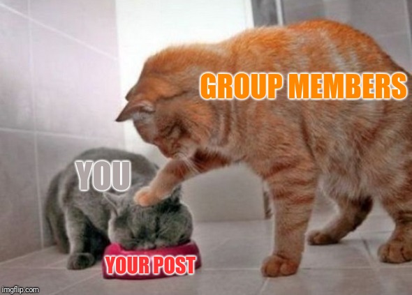 Force feed cat | GROUP MEMBERS; YOU; YOUR POST | image tagged in force feed cat | made w/ Imgflip meme maker