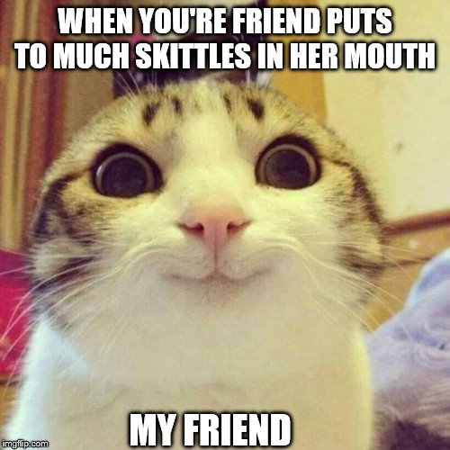 Smiling Cat | WHEN YOU'RE FRIEND PUTS TO MUCH SKITTLES IN HER MOUTH; MY FRIEND | image tagged in memes,smiling cat | made w/ Imgflip meme maker