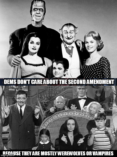 Kooky Dems | DEMS DON'T CARE ABOUT THE SECOND AMENDMENT; BECAUSE THEY ARE MOSTLY WEREWOLVES OR VAMPIRES | image tagged in dems,second amendment,lycanthropes,vampires | made w/ Imgflip meme maker