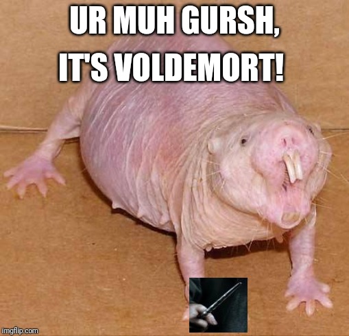 naked mole rat | IT'S VOLDEMORT! UR MUH GURSH, | image tagged in naked mole rat | made w/ Imgflip meme maker