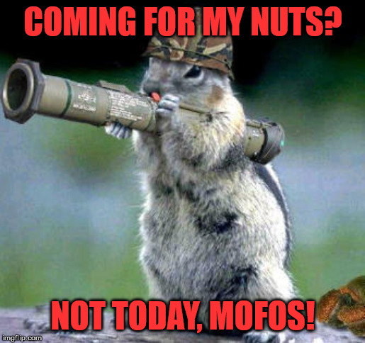 It's his God-given right to protect his nuts! | COMING FOR MY NUTS? NOT TODAY, MOFOS! | image tagged in memes,bazooka squirrel | made w/ Imgflip meme maker