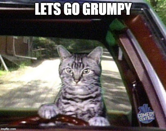 Toonsis the cat that could drive | LETS GO GRUMPY | image tagged in toonsis the cat that could drive | made w/ Imgflip meme maker