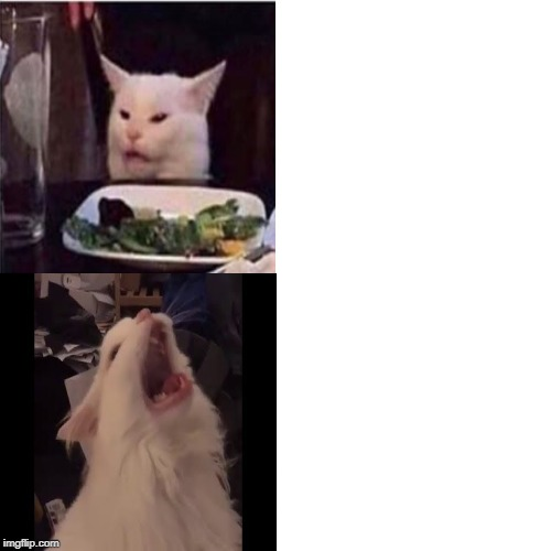 Cat Feline Bling Blank Meme Template