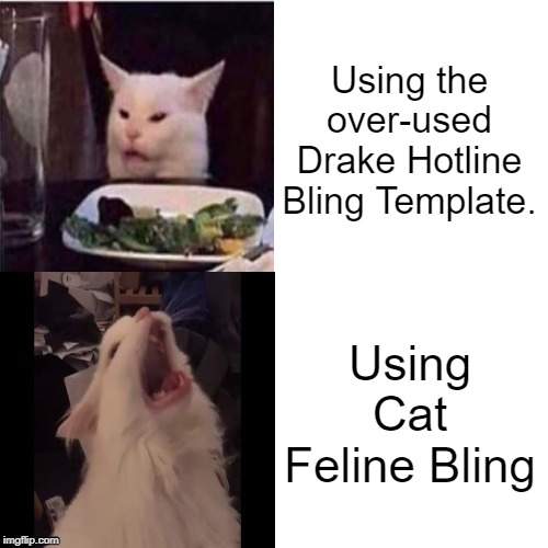 (It is blank, I just captioned this one)Cat Feline Bling | Using the over-used Drake Hotline Bling Template. Using Cat Feline Bling | image tagged in cat feline bling | made w/ Imgflip meme maker