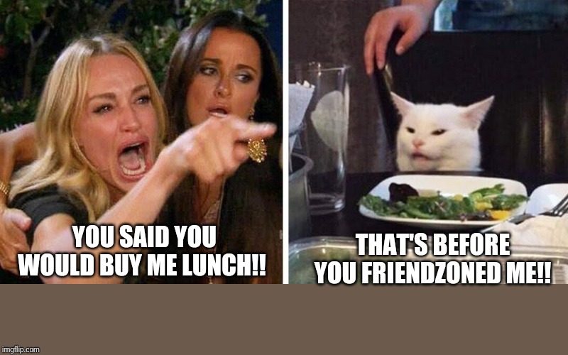 Smudge the cat | THAT'S BEFORE YOU FRIENDZONED ME!! YOU SAID YOU WOULD BUY ME LUNCH!! | image tagged in smudge the cat | made w/ Imgflip meme maker