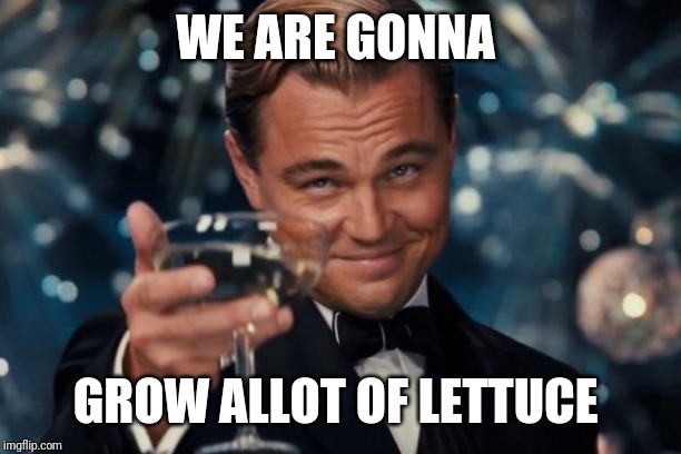 Leonardo Dicaprio Cheers Meme | WE ARE GONNA; GROW ALLOT OF LETTUCE | image tagged in memes,leonardo dicaprio cheers | made w/ Imgflip meme maker