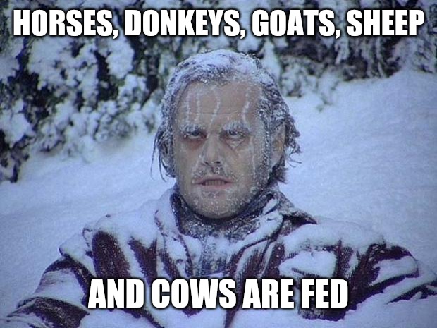 Jack Nicholson The Shining Snow Meme | HORSES, DONKEYS, GOATS, SHEEP; AND COWS ARE FED | image tagged in memes,jack nicholson the shining snow | made w/ Imgflip meme maker