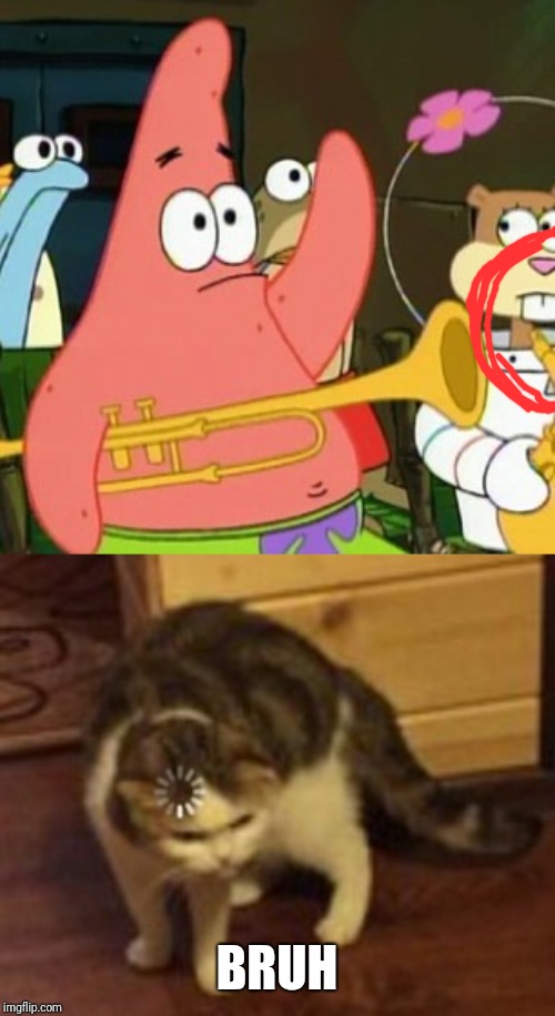 BRUH | image tagged in memes,no patrick,loading cat | made w/ Imgflip meme maker