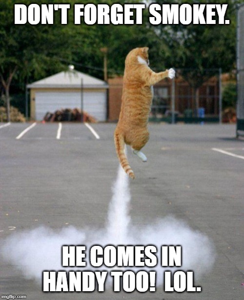 Rocket cat | DON'T FORGET SMOKEY. HE COMES IN HANDY TOO!  LOL. | image tagged in rocket cat | made w/ Imgflip meme maker