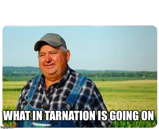 Honest work | WHAT IN TARNATION IS GOING ON | image tagged in honest work | made w/ Imgflip meme maker