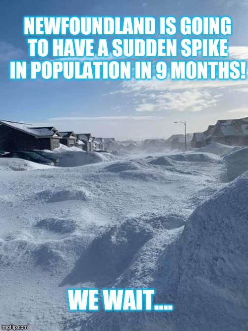 Newfoundland Snowstorm 2020 | NEWFOUNDLAND IS GOING TO HAVE A SUDDEN SPIKE IN POPULATION IN 9 MONTHS! WE WAIT.... | image tagged in newfoundland,snowstorm,blizzard | made w/ Imgflip meme maker