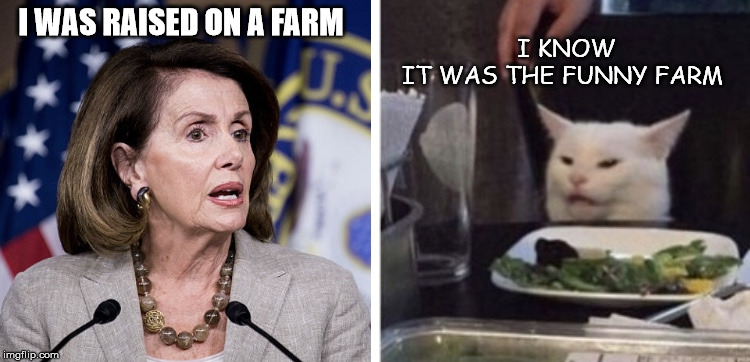 Pelosi yells at cat | I WAS RAISED ON A FARM; I KNOW
IT WAS THE FUNNY FARM | image tagged in pelosi yells at cat | made w/ Imgflip meme maker