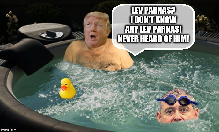 WHO??? | LEV PARNAS? I DON'T KNOW ANY LEV PARNAS! NEVER HEARD OF HIM! | image tagged in donald trump,impeach trump,trump is a moron,donald trump is an idiot | made w/ Imgflip meme maker