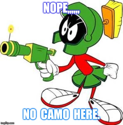 Marvin the Martian | NOPE,,,,,, NO  CAMO  HERE. | image tagged in marvin the martian | made w/ Imgflip meme maker
