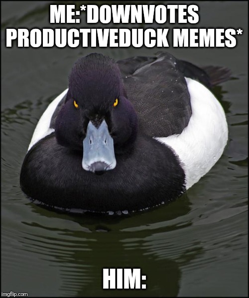 Angry duck | ME:*DOWNVOTES PRODUCTIVEDUCK MEMES*; HIM: | image tagged in angry duck | made w/ Imgflip meme maker