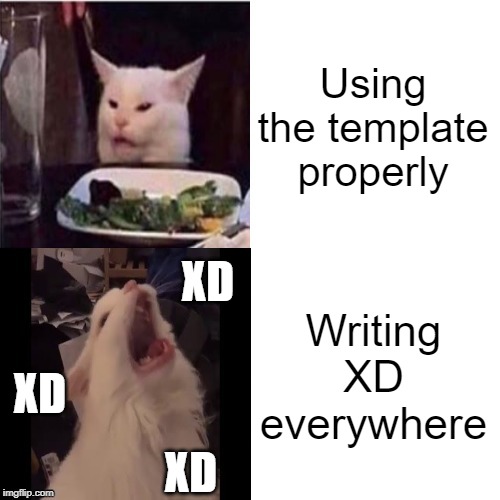 Cat Feline Bling | Using the template properly Writing XD everywhere XD XD XD | image tagged in cat feline bling | made w/ Imgflip meme maker