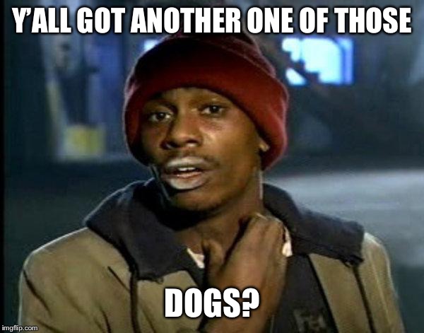 dave chappelle | Y’ALL GOT ANOTHER ONE OF THOSE DOGS? | image tagged in dave chappelle | made w/ Imgflip meme maker