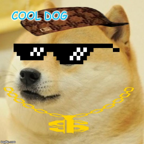 Doge Meme | COOL DOG | image tagged in memes,doge | made w/ Imgflip meme maker