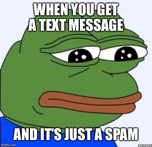 sad frog | WHEN YOU GET A TEXT MESSAGE; AND IT’S JUST A SPAMMER | image tagged in sad frog | made w/ Imgflip meme maker