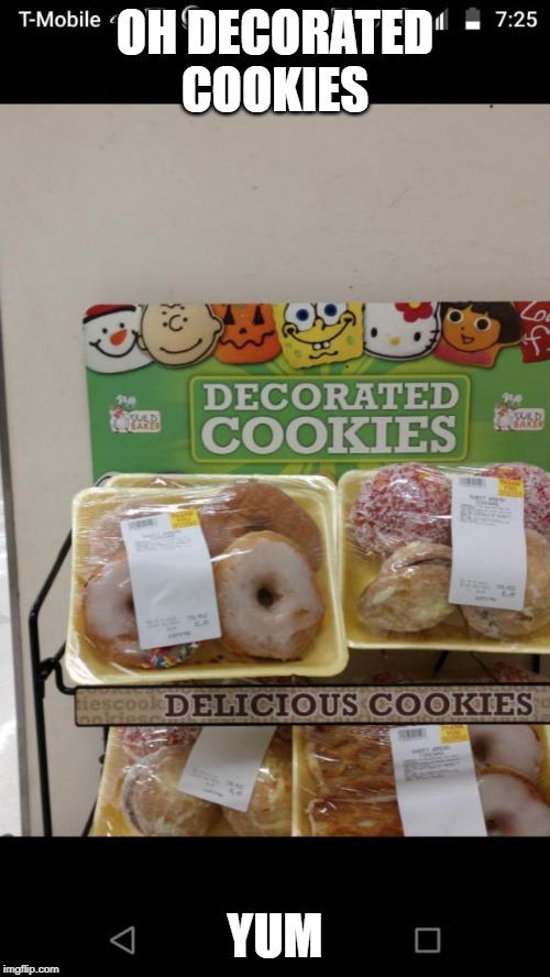 decorative cookies? |  OH DECORATED COOKIES; YUM | image tagged in stupid people | made w/ Imgflip meme maker