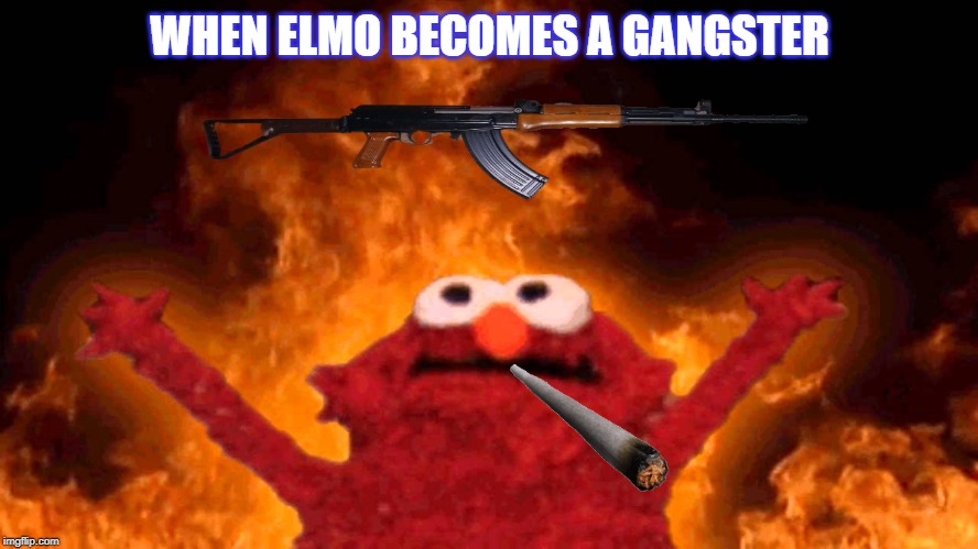 elmo fire | WHEN ELMO BECOMES A GANGSTER | image tagged in elmo fire | made w/ Imgflip meme maker