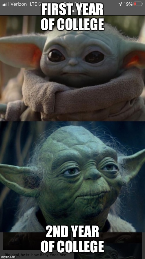 College years explained by Yoda | FIRST YEAR OF COLLEGE; 2ND YEAR OF COLLEGE | image tagged in star wars yoda,college | made w/ Imgflip meme maker
