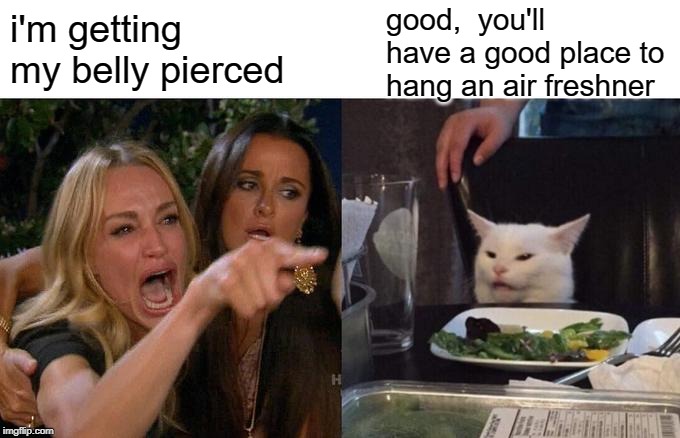 Woman Yelling At Cat Meme | good,  you'll have a good place to hang an air freshner; i'm getting my belly pierced | image tagged in memes,woman yelling at cat | made w/ Imgflip meme maker