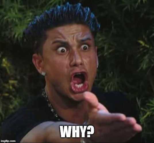 DJ Pauly D Meme | WHY? | image tagged in memes,dj pauly d | made w/ Imgflip meme maker