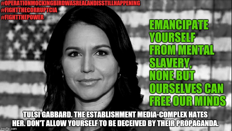 Tulsi Gabbard | #OPERATIONMOCKINGBIRDWASREALANDISSTILLHAPPENING
#FIGHTTHECORRUPTCIA
#FIGHTTHEPOWER; EMANCIPATE YOURSELF FROM MENTAL SLAVERY, NONE BUT OURSELVES CAN FREE OUR MINDS; TULSI GABBARD. THE ESTABLISHMENT MEDIA-COMPLEX HATES HER. DON'T ALLOW YOURSELF TO BE DECEIVED BY THEIR PROPAGANDA. | image tagged in tulsi gabbard | made w/ Imgflip meme maker