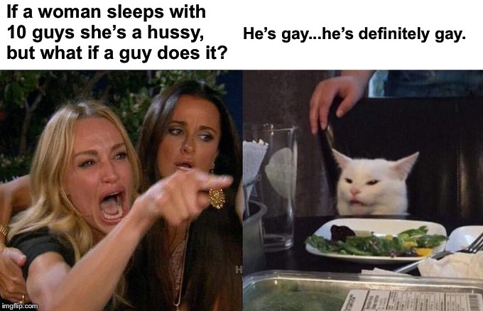 Can’t argue with that... | If a woman sleeps with 10 guys she’s a hussy, but what if a guy does it? He’s gay...he’s definitely gay. | image tagged in memes,woman yelling at cat,humor | made w/ Imgflip meme maker