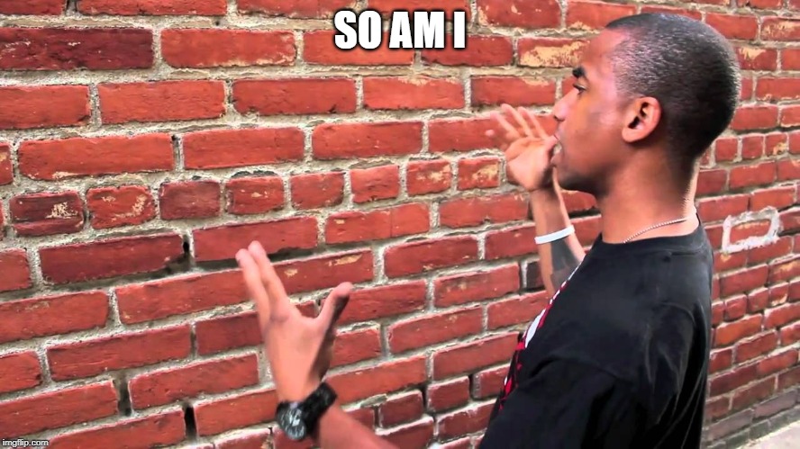 Talking to wall | SO AM I | image tagged in talking to wall | made w/ Imgflip meme maker