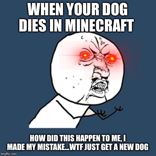 Y U No | WHEN YOUR DOG DIES IN MINECRAFT; HOW DID THIS HAPPEN TO ME, I MADE MY MISTAKE...WTF JUST GET A NEW DOG | image tagged in memes,y u no | made w/ Imgflip meme maker