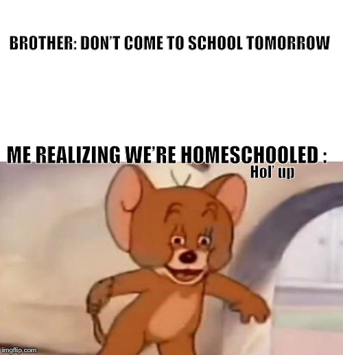 Homeschool is Dangerous | BROTHER: DON’T COME TO SCHOOL TOMORROW; ME REALIZING WE’RE HOMESCHOOLED :; Hol’ up | image tagged in jerry meme,tom and jerry,funny memes | made w/ Imgflip meme maker
