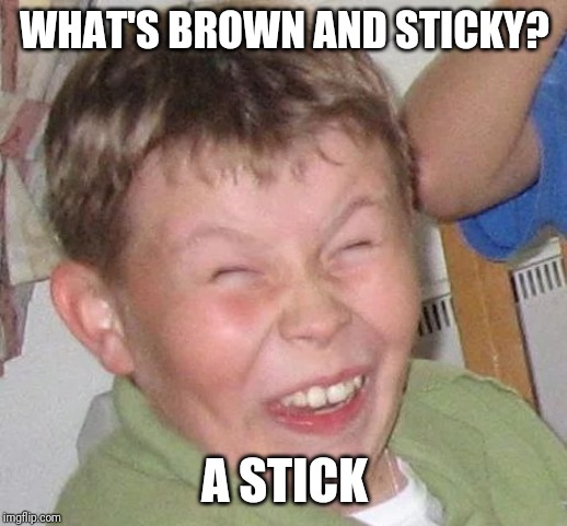 Sarcastic Laugh | WHAT'S BROWN AND STICKY? A STICK | image tagged in sarcastic laugh | made w/ Imgflip meme maker